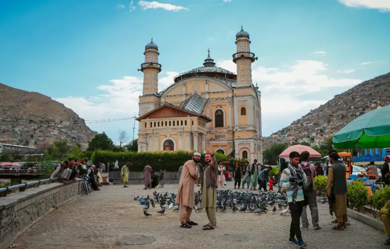 our inside 2 large our inside 2 large